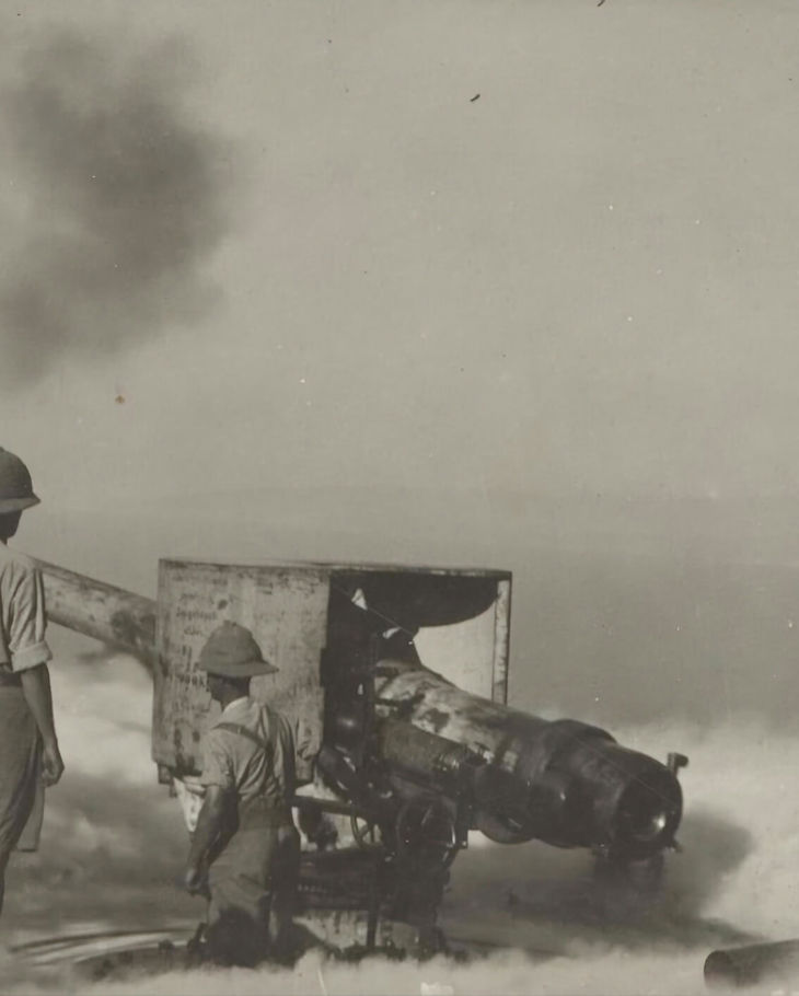 Museums Victoria Udksjyyndnq Unsplash