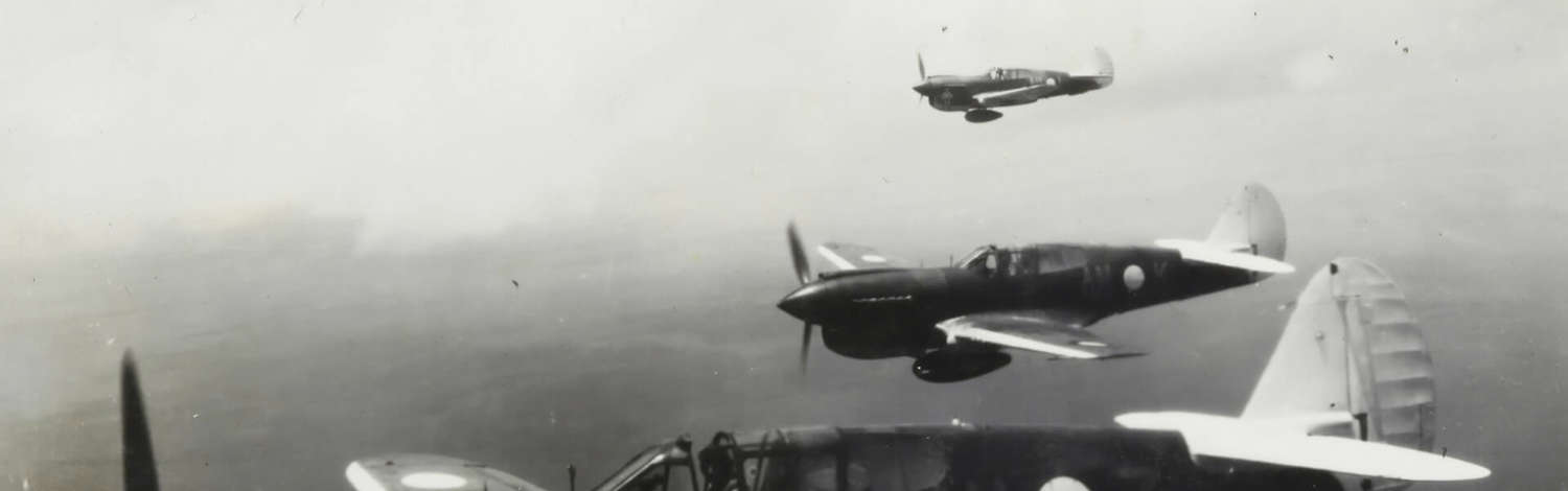 Museums Victoria Oygmigxv030 Unsplash