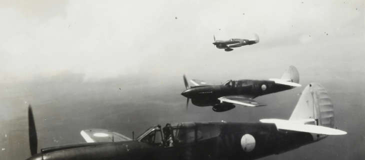 Museums Victoria Oygmigxv030 Unsplash